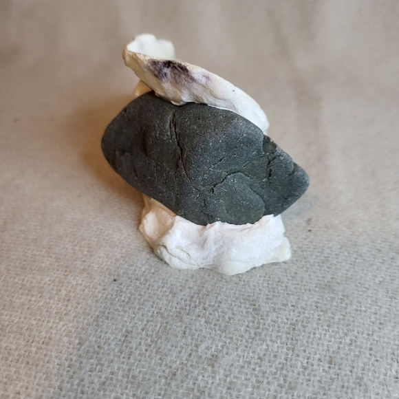 Fairy Garden in Oyster Shell - Picture 5 of 7